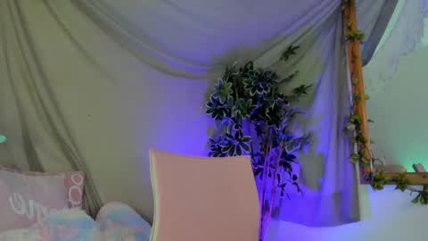   online show from November 2025 12:09:02 AM