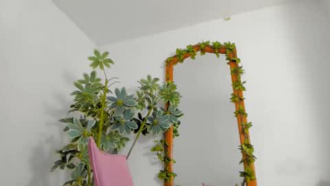   online show from February 2026 11:36:01 PM