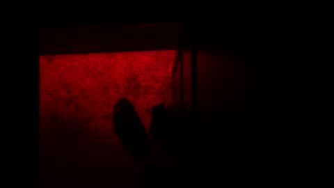 bonny8723 online show from November 2025 10:21:02 PM