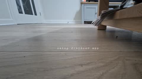 bonny8723 online show from January 2026 06:57:02 PM