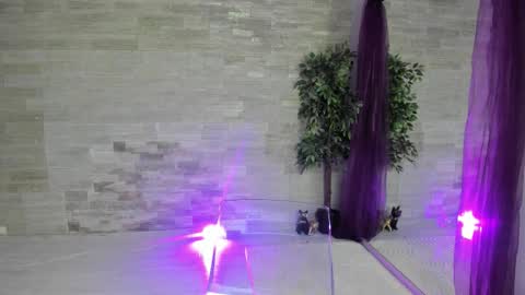 Snapshot of boobzilla_ chatting on February 2026 05:50:02 AM boobzilla_ online show from February 2026 05:50:02 AM