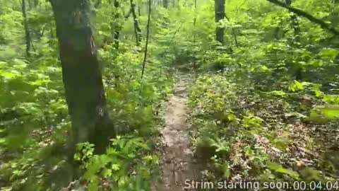 Booker Baxton online show from November 2025 04:04:01 AM