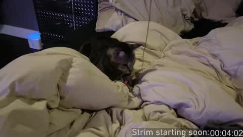 Booker Baxton online show from December 2025 04:07:02 AM