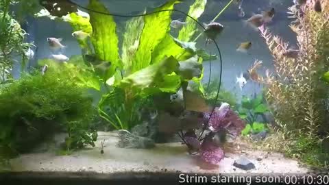 Booker Baxton online show from December 2025 03:57:01 AM