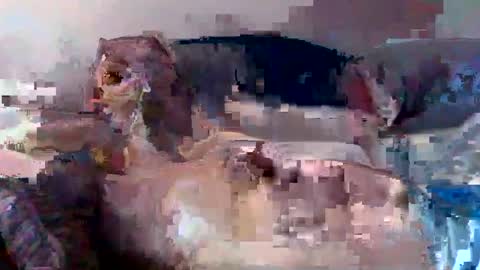 Snapshot of boomer64814390 chatting on July 2026 07:32:02 AM boomer64814390 online show from July 2026 07:32:02 AM