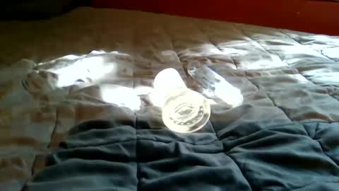 Bootsy online show from September 2025 07:49:02 PM