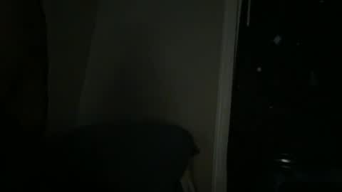 Snapshot of bootymaxxx chatting on March 2025 01:23:01 AM bootymaxxx online show from March 2025 01:23:01 AM