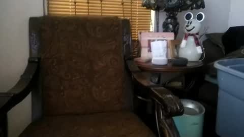 boredaf6678 online show from December 2024 05:05:01 PM