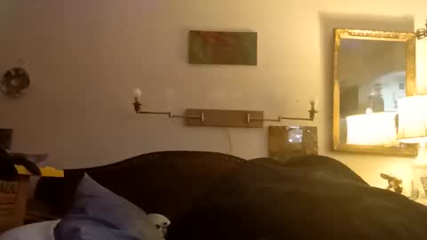 boredaf6678 online show from December 2025 01:10:01 AM