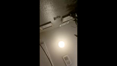 boredaf6678 online show from March 2026 04:28:02 AM