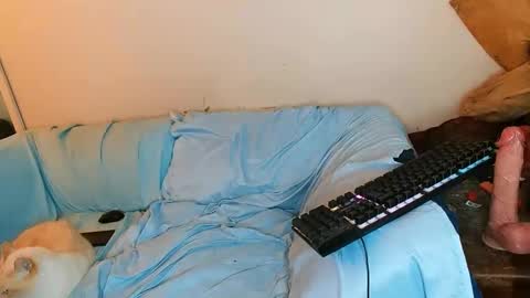 Snapshot of boredandirish21 chatting on October 2025 04:49:01 PM boredandirish21 online show from October 2025 04:49:01 PM