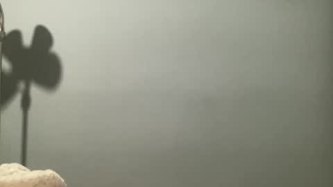 Snapshot of boselythornton1 chatting on March 2026 06:57:01 AM boselythornton1 online show from March 2026 06:57:01 AM