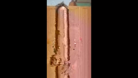 bossusaround online show from February 2026 05:50:01 PM