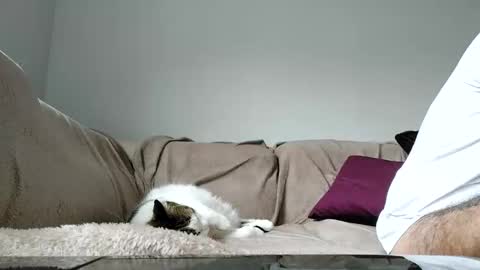 Snapshot of boy_aroundtheworld chatting on April 2026 01:29:02 PM Dan online show from April 2026 01:29:02 PM