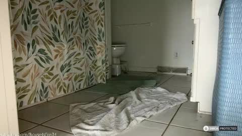 Snapshot of boysetsfire34 chatting on February 2026 05:53:02 PM boysetsfire34 online show from February 2026 05:53:02 PM