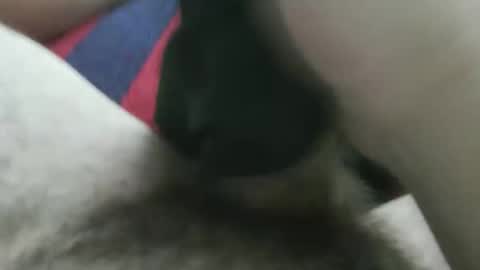 Snapshot of bpllpd chatting on December 2025 12:41:01 AM bpllpd online show from December 2025 12:41:01 AM