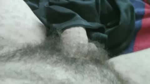 Snapshot of bpllpd chatting on January 2026 03:49:02 PM bpllpd online show from January 2026 03:49:02 PM