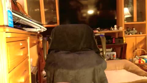 Snapshot of brandibme2 chatting on October 2025 01:17:01 AM Brandi online show from October 2025 01:17:01 AM
