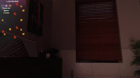 Snapshot of brandon_starkk chatting on February 2026 11:51:01 AM brandon_starkk online show from February 2026 11:51:01 AM