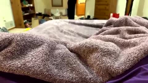 Snapshot of brandondot chatting on December 2024 07:26:02 AM brandondot online show from December 2024 07:26:02 AM