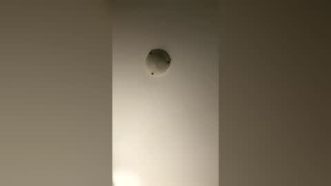 brandonw199866 online show from July 2026 03:47:02 AM