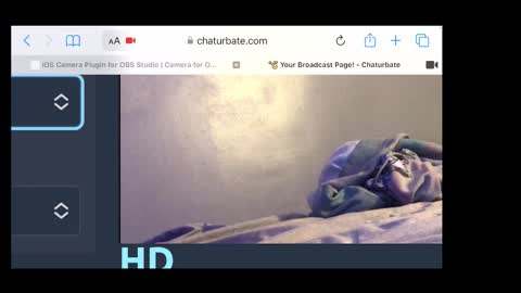 MANTE online show from November 2025 02:34:02 AM