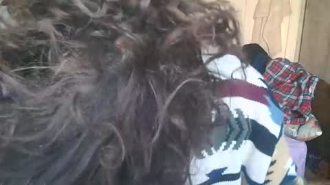 Bread89  online show from December 2024 11:43:01 AM