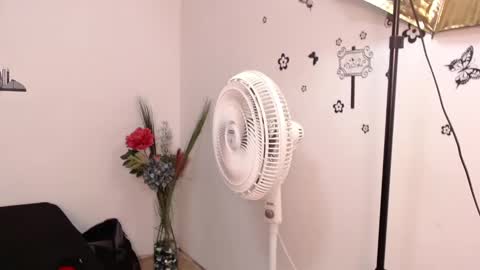 Snapshot of brenda_maz chatting on January 2025 03:15:01 PM Brenda  online show from January 2025 03:15:01 PM