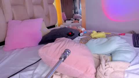 Branda online show from February 2025 02:35:02 PM