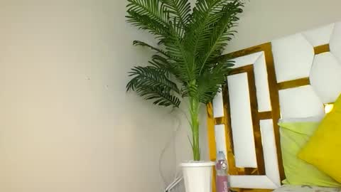 Snapshot of brennan007 chatting on January 2025 06:00:01 PM brennan online show from January 2025 06:00:01 PM