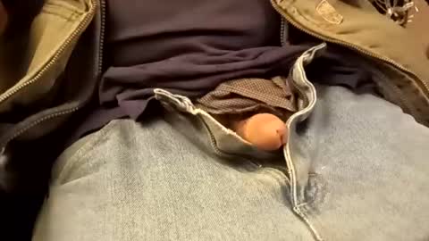 BB online show from February 2026 05:00:02 AM