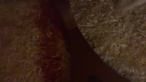 Snapshot of brian_stars chatting on October 2025 03:25:01 PM Brian boy online show from October 2025 03:25:01 PM