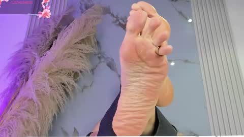    online show from February 2026 12:05:02 PM