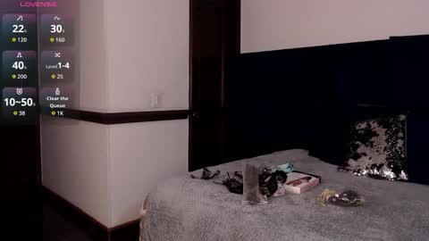 Snapshot of brigith24 chatting on November 2025 03:06:02 AM Brigith online show from November 2025 03:06:02 AM