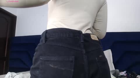 Snapshot of brigith24 chatting on November 2025 02:32:01 AM Brigith online show from November 2025 02:32:01 AM