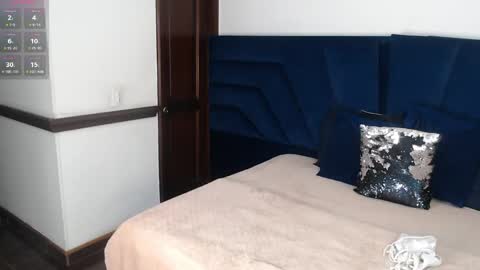 Snapshot of brigith24 chatting on November 2025 03:56:01 AM Brigith online show from November 2025 03:56:01 AM