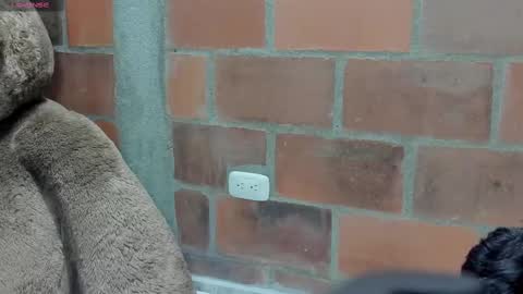 Briana69 online show from March 2025 02:41:02 AM