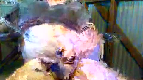 brissy8091 online show from May 2026 11:31:02 PM