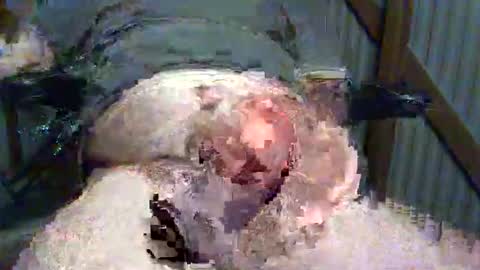 brissy8091 online show from May 2026 07:58:01 AM