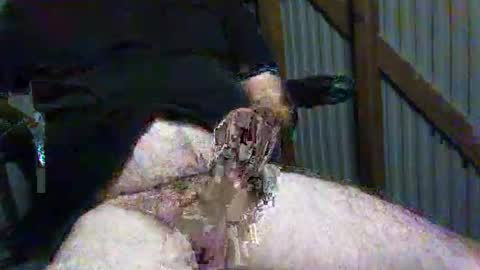 brissy8091 online show from May 2026 08:43:02 AM