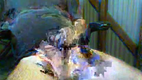 brissy8091 online show from May 2026 10:22:02 PM
