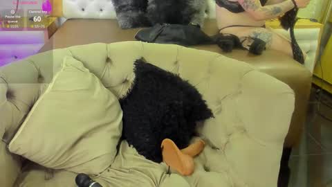 brithani online show from November 2025 08:31:01 PM