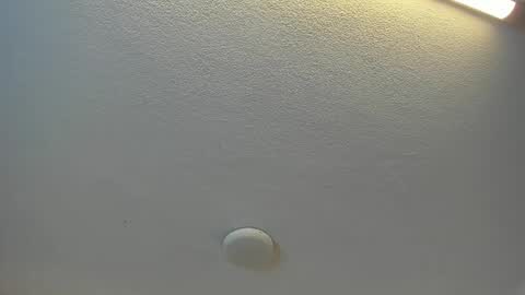 Brittany  online show from April 2026 07:38:02 PM