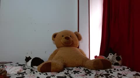 maru miaw   Please help me to reach 100 thumbs up online show from November 2025 03:01:02 PM