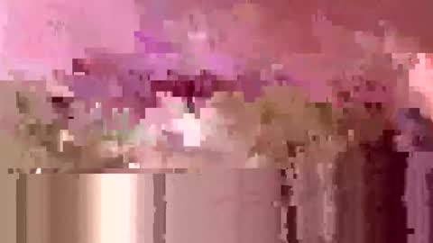 Brobator-gator online show from June 2026 12:44:02 PM