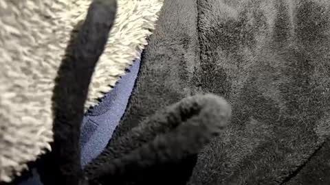 just a broken boy online show from January 2026 07:08:02 PM