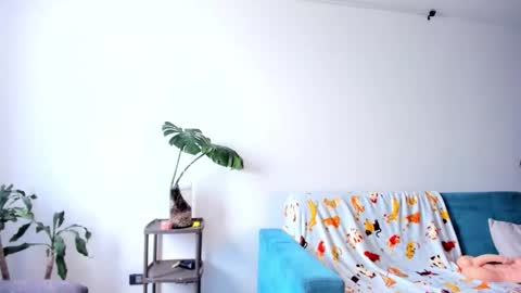 Snapshot of bronzetease chatting on February 2026 07:43:01 PM JOIN MY CHANNEL ON TELEGRAM online show from February 2026 07:43:01 PM