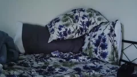 Snapshot of bruc12168 chatting on February 2025 12:04:02 PM Bruc12168 fit slim new makemecum bigdick edging online show from February 2025 12:04:02 PM