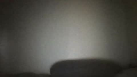 Snapshot of bruc12168 chatting on October 2025 01:06:01 AM Bruc12168 fit slim new makemecum bigdick edging online show from October 2025 01:06:01 AM