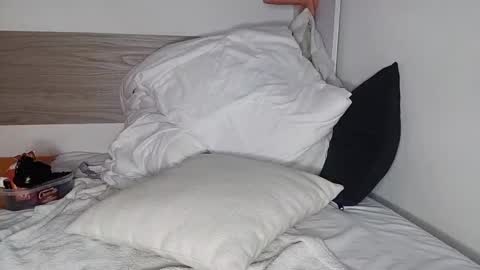 Snapshot of bruce_bigg chatting on January 2025 04:11:02 AM Bruce online show from January 2025 04:11:02 AM